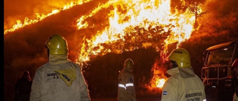 Preocupacion por el feroz incendio en El Rodeo.