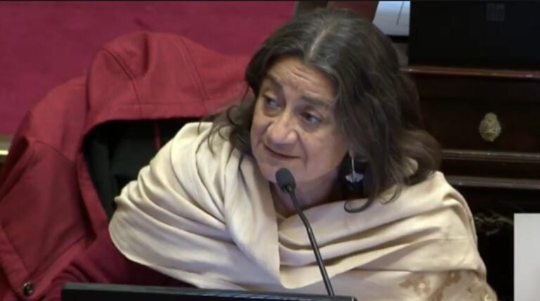 «No nos tomen por tontos»: el duro discurso de Lucía Corpacci contra la reforma de la Ley de Tierras