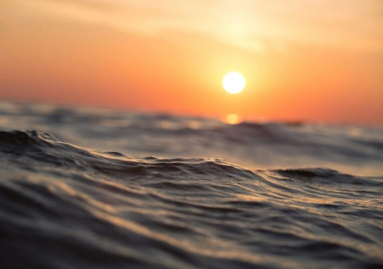 Alerta climática: los océanos alcanzaron un récord de temperatura y crece la preocupación por sus efectos