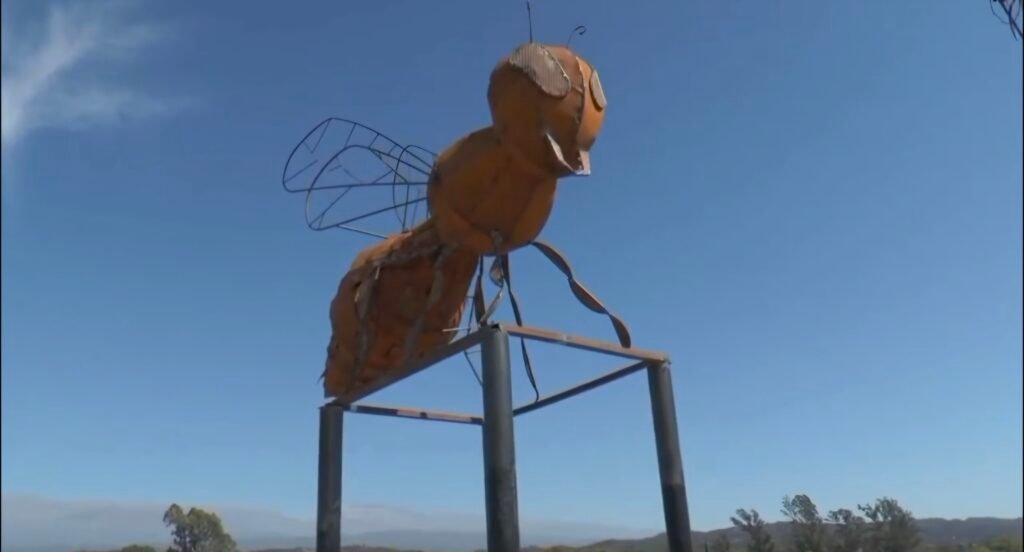 LA ABEJA GIGANTE DE VALLE VIEJO: UNA OBRA QUE ABRIÓ EL DEBATE SOBRE LAS PRIORIDADES DEL MUNICIPIO